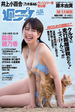 1-36集电视剧免费